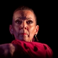 flamenco (91)